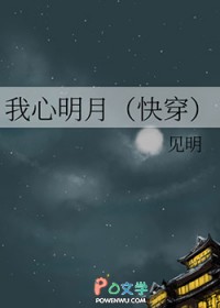 我心明月快穿下载